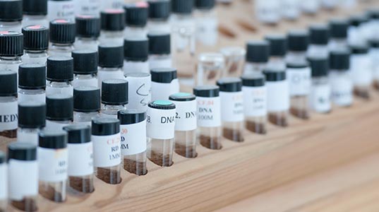 Homöopathie